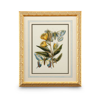 " Butterfly Oasis II "