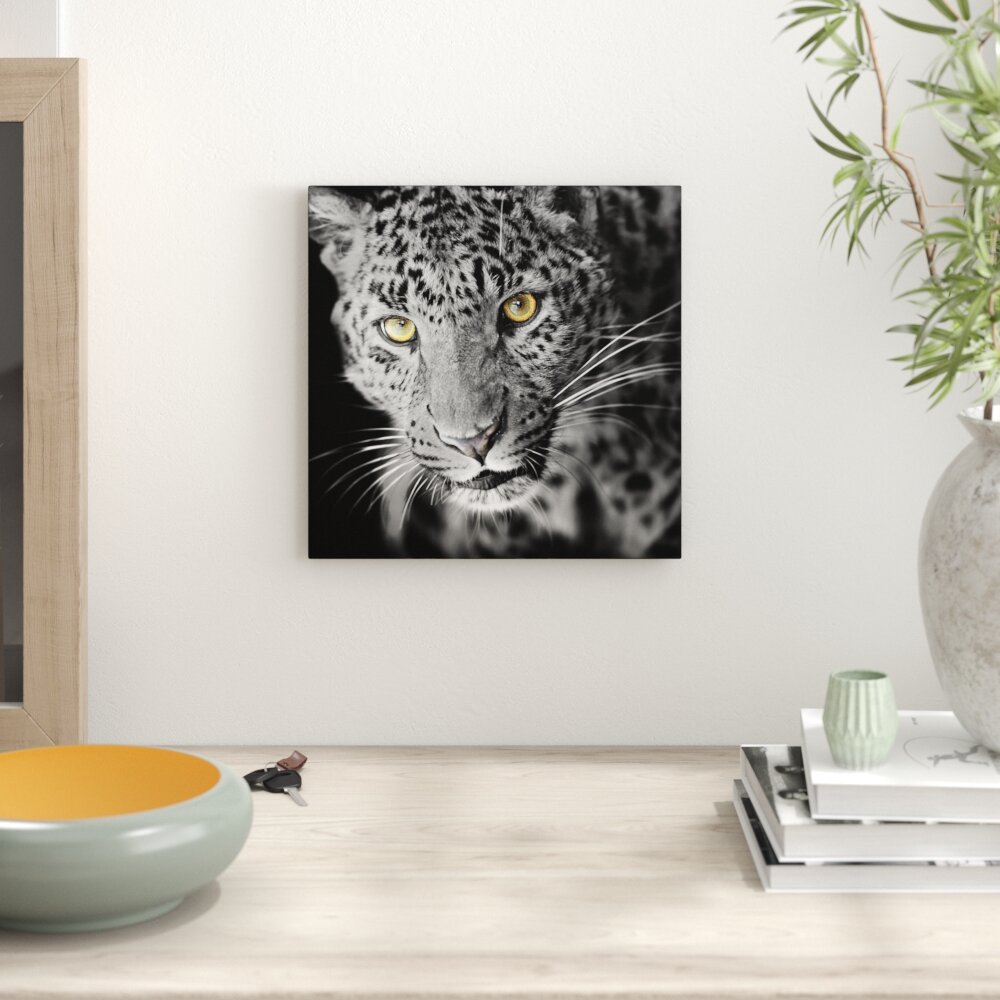 Leinwandbild Prächtig anmutiger Leopard