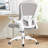 Mesh Task Chair with Adjustable Arms and Lumbar Support -1797742025
