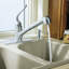 Coralais Pullout Single Handle Kitchen Faucet with MasterClean™-1739369972