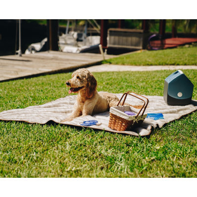 Jeté imperméable en fourrure PupProtector Summer Short - blanc avec accents bruns - original (L 60 po x l 50 po)