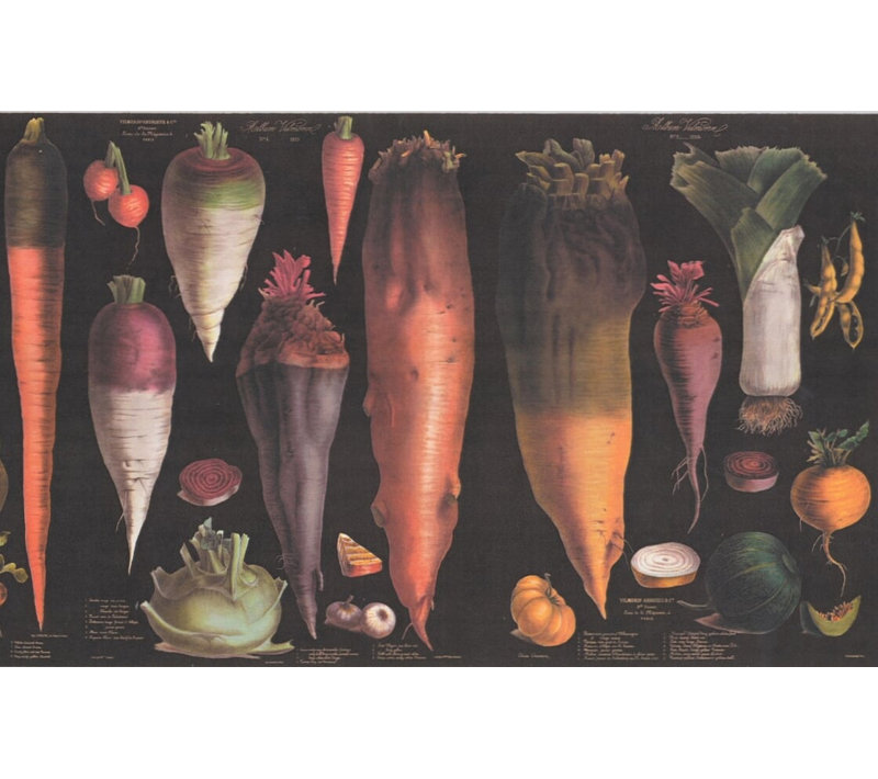 Bordure de papier peint Mansell, Noir, 15' L x 6" W