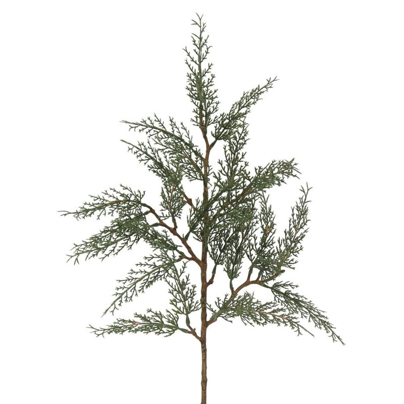 27" Cedar Stem