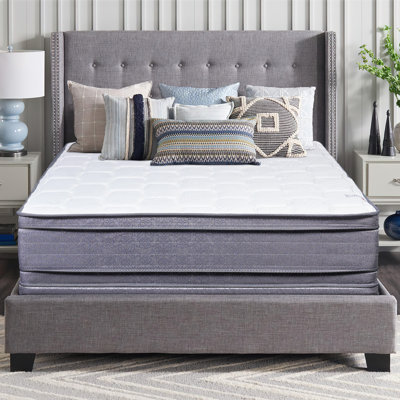 Alwyn Home Ornithogale 20'' Plush Memory Foam Mattress and Box Spring