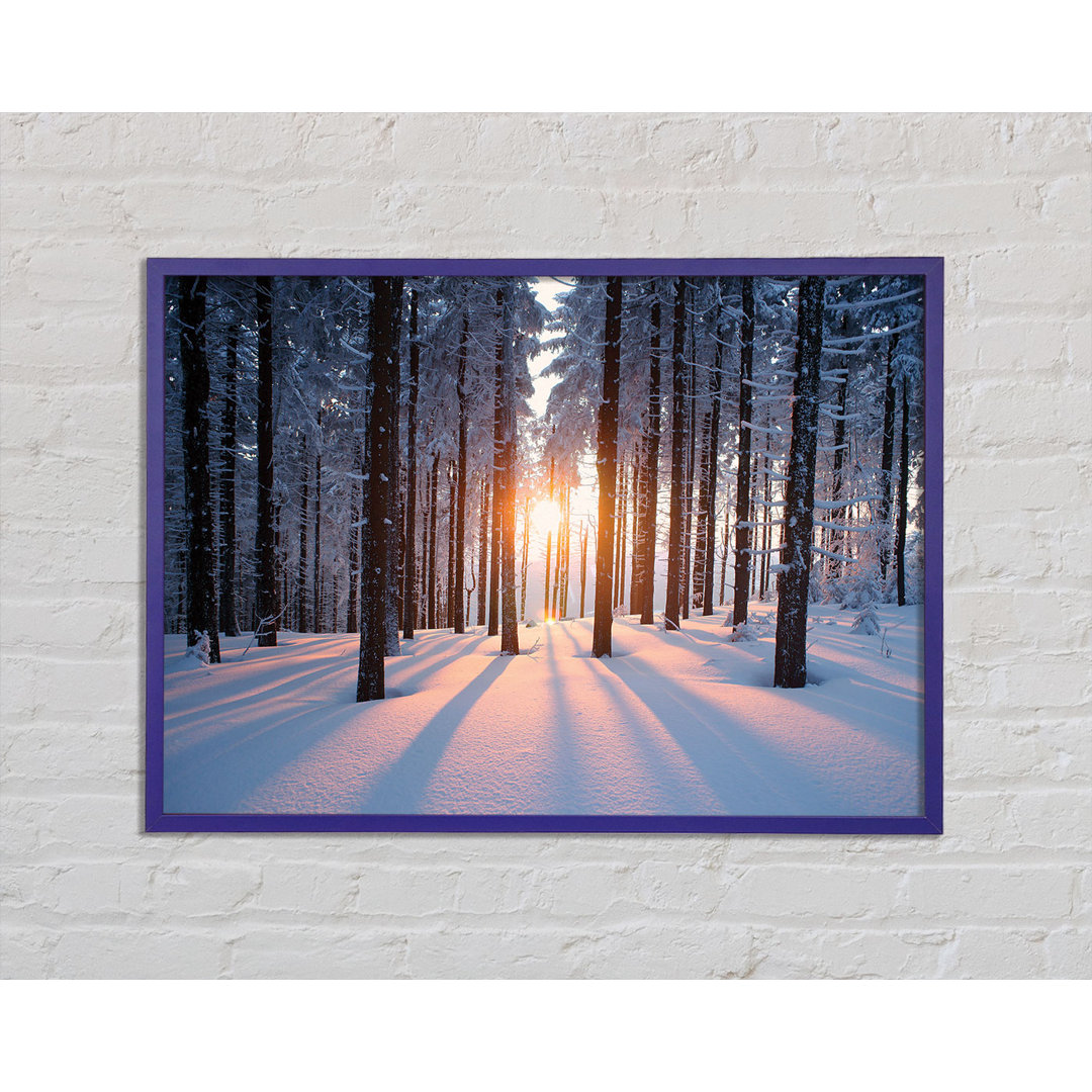 Sun Burst Snow Trees - Einzelne Bilderrahmen Kunstdrucke