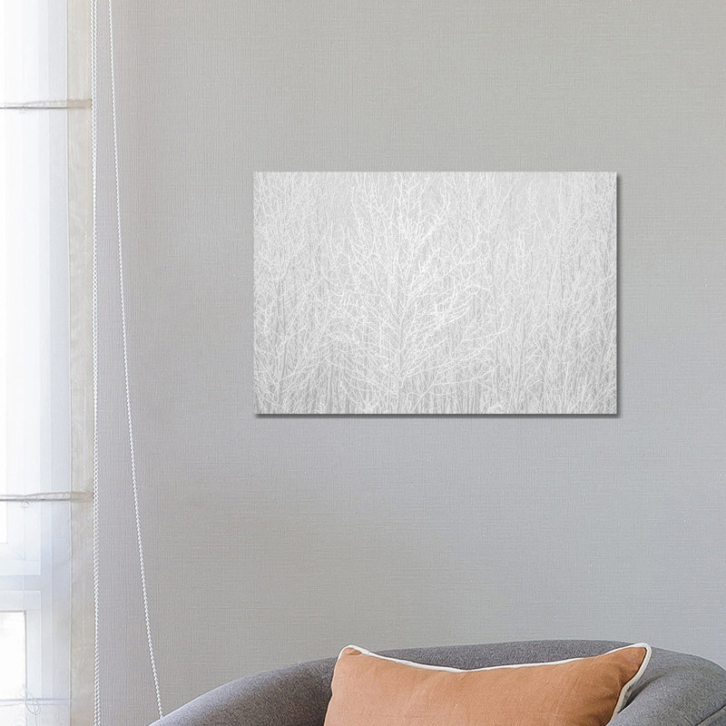 Hoarfrost White by Nik Rave - Wrapped Canvas Gallery-Wrapped Canvas Giclée, 66.04 cm H x 45.72 cm W