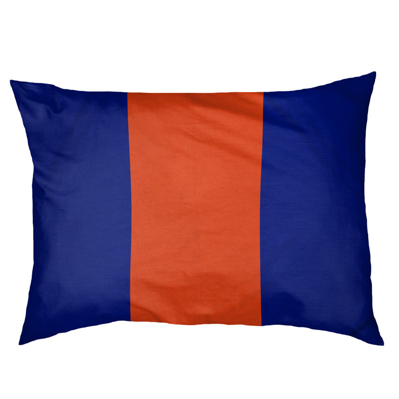 Coussin pour chien Indiana, Petit (l 28 po x P 18 po x H 6 po), Bleu / orange