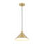 Luminaire suspendu conique en métal 1 lumière industriel simple