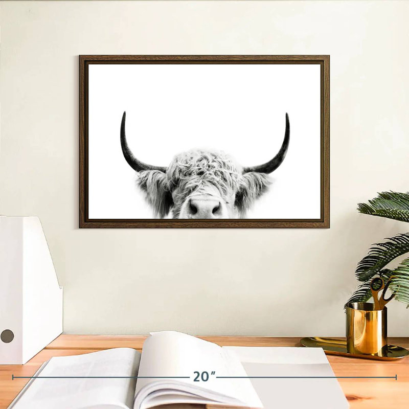 Peeking Cow BW, 13 po x 9 po, Cadre flottant noyer