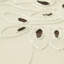 Nappe Avery-24072782-24072785