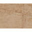 Area Rug in Orange-106955040