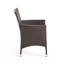 Outdoor Multibrown PE Wicker Dining Chairs,Set Of 2