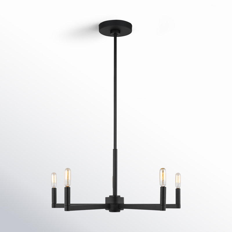 Ayansh Fullton Chandelier, Midnight Black, 10.5"H x 24"W x 24"D
