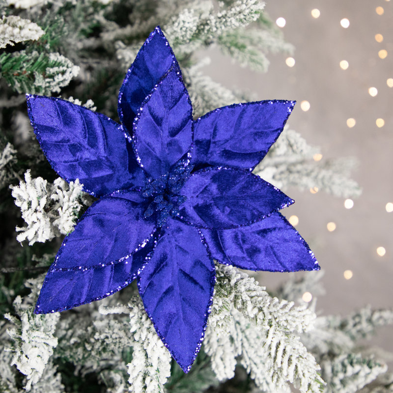 Tiges de poinsettia, Bleu