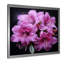 Singulier beauté des rhododendrons mauves I - art mural rhododendron-811779117-845504098