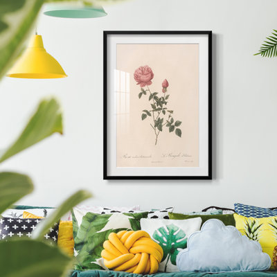 Imprimé floral rétro CXL III - impression encadrée