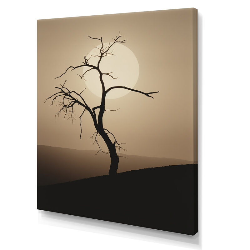 Minimalisme clair de lune, désert, simplicité, Toile tendue, H 32 po x l 16 po x P 1 po
