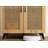 Juleeanna Shoe Storage Cabinet
