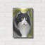 «Maine Coon 2» par Barbara Keith-225151867