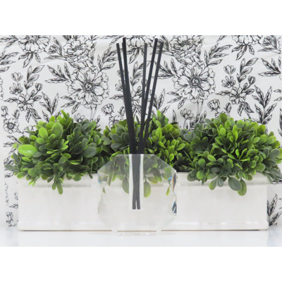 Plant / Floral No Power Source Required / Manual Powered Reed Diffusers and Sticks