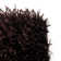 Assar Handmade Tufted Chocolate Area Rug