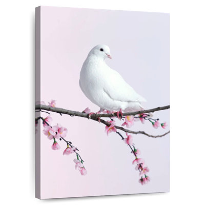 Apple Blossom Dove