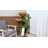 42" Cactus Cat Tree Condo, Multi-Level Tower with Scratching Posts, Perch, Ramp and Hammock for Cats