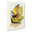 Allied Fruit-Pigeons - Wrapped Canvas-55368782