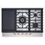 30" Natural Gas Cooktop with 5 Burners-100170008