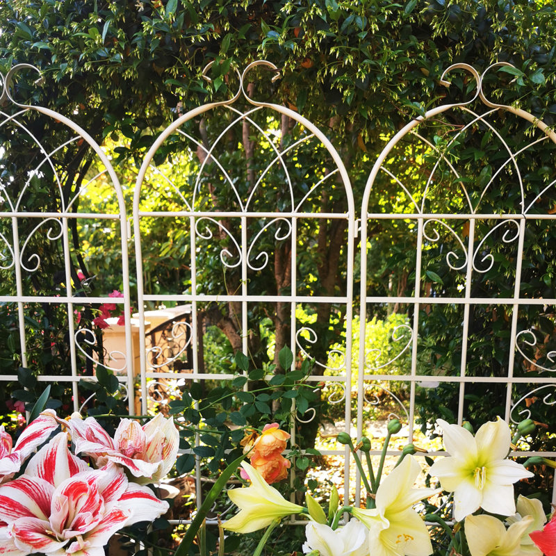 Paquet de 4 treillis de jardin en métal, H 71 po x l 80 po x P 0,5 po, Crème / blanc