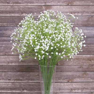 Baby's Breath Arrangement