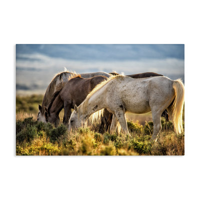 Equine Evening Graze Canvas, design by Tim West