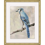 Blue Jay 2 Painting