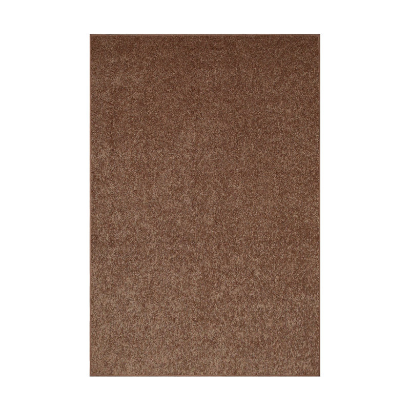 Tapis modernes de couleur unie pour animaux de compagnie et enfants, résistance aux taches et à la décoloration, chambre à coucher, salle de jeux et chambre d'enfant, événement, mariage, parfait pour le salon, la salle à 