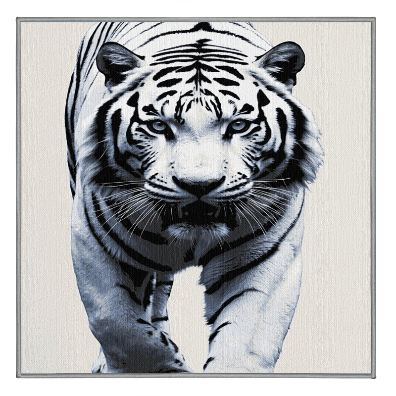  Tapis blanc lavable avec tigres du Bengale et grands chats, Rectangulaire 2 pi x 3 pi