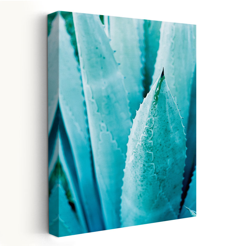 Contemporain et minimaliste abstrait couleur Agava II, H 24 po x l 16 po