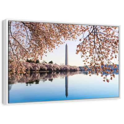 Washington DC Spring