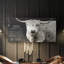 Toile tendue avec châssis Longhorn Be True-470673698