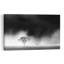 Misty Winter Solitude Dramatic Minimalist Serene Horse Landscape Tree Wall Art Print 1 Piece Wrapped Canvas Wall Art-1001790763