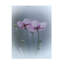 «Purple Delight» sur toile-1766356939