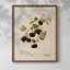 «Vintage Floral Print XLIV» sur papier-446485028-446485051