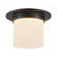 Mineral 8-in Brass Flush Mount-431977228-431977231