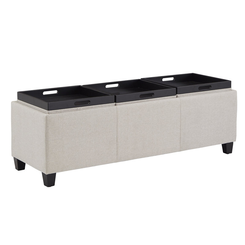 Banc de rangement à couvercle rabattable Alyani