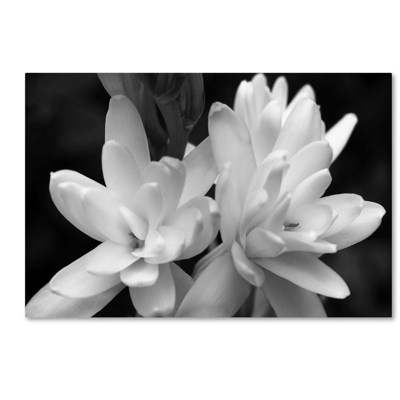 Print on Canvas, 30" H x 47" W x 2" D