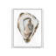 Oyster 1 Print-450076845-450076847