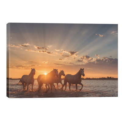 White Angels Of Camargue XXXVIII - Wrapped Canvas Print