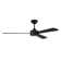 Provision 52'' Ceiling Fan