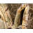 Aracelia Floral Indoor Rug-296373375