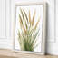 Grain Heads Study Botanical - Wrapped Canvas-1677984888-1677984893