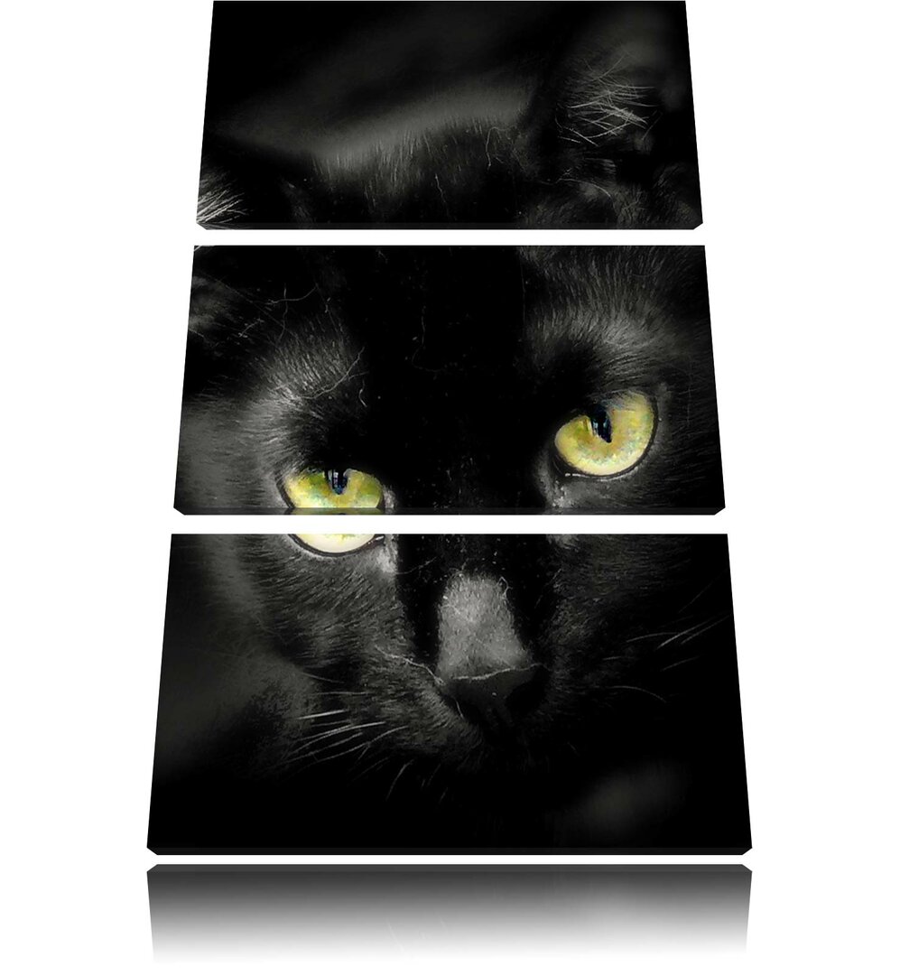 3-tlg. Leinwandbilder-Set „Schöne schwarze Katze“, Fotodruck 